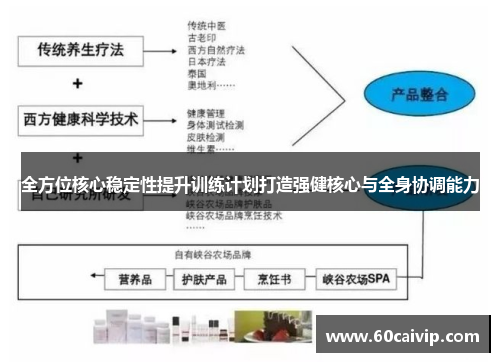 全方位核心稳定性提升训练计划打造强健核心与全身协调能力